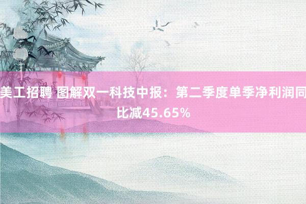 美工招聘 图解双一科技中报：第二季度单季净利润同比减45.65%